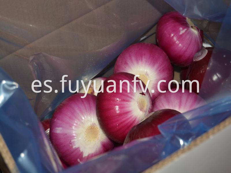 red peeled onion 